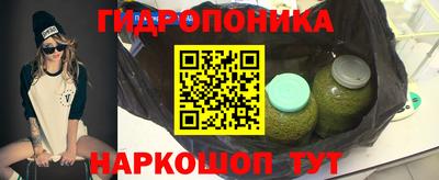 стаф Заводоуковск