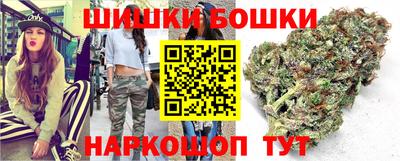 стаф Заводоуковск